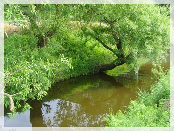 SNV30067.JPG
