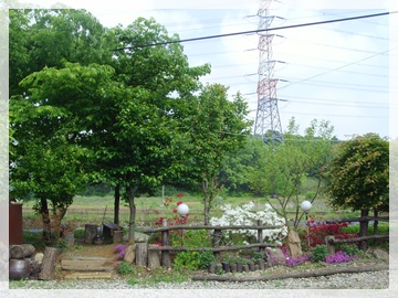 SNV30084.JPG