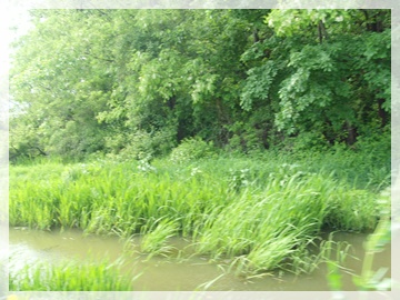SNV30097.JPG