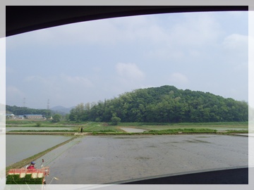 SNV30100.JPG
