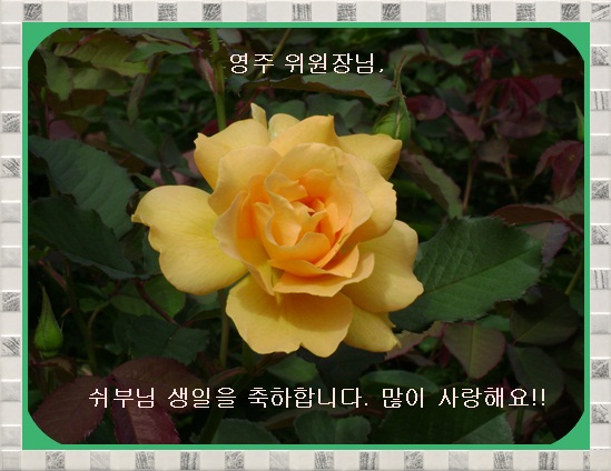 aa-DSC01736.JPG