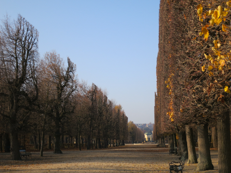 Schoenbrunn_ November 2_1.JPG