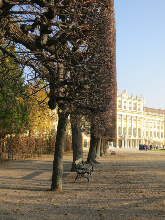 Schoenbrunn_ November 2_3.JPG