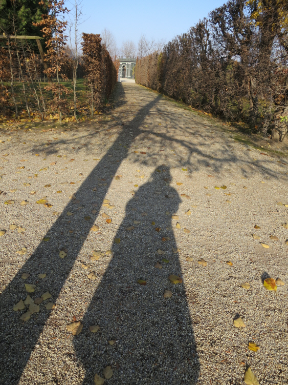 Schoenbrunn_ November 2_4.JPG