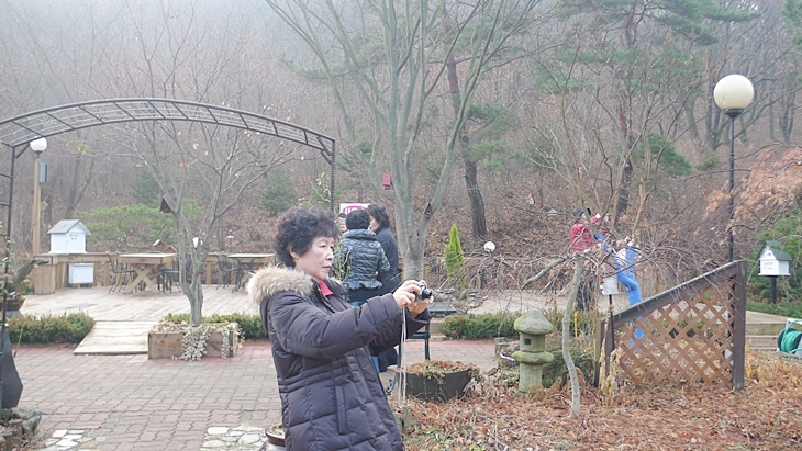 P1060566.JPG