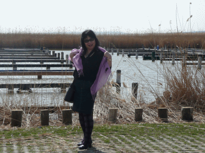 anigif wind.gif