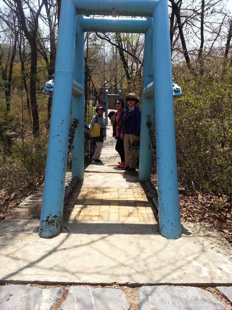20130430_115346.jpg