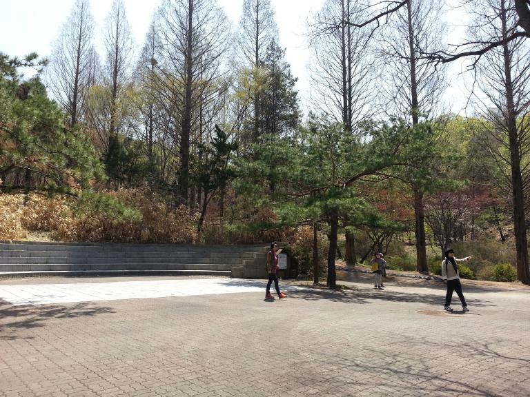 20130430_120304.jpg