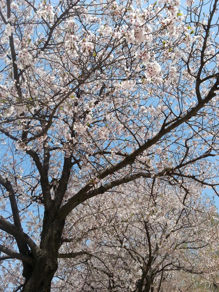 20130430_121919.jpg