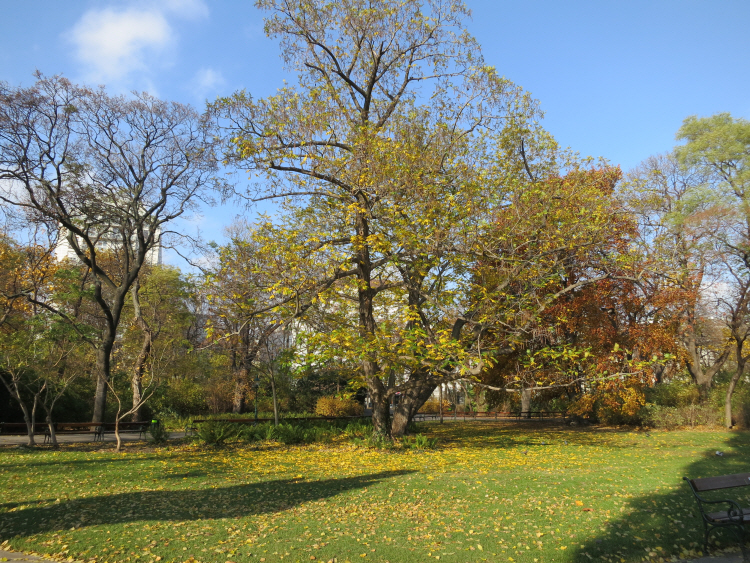 Stadtpark 1_1.JPG
