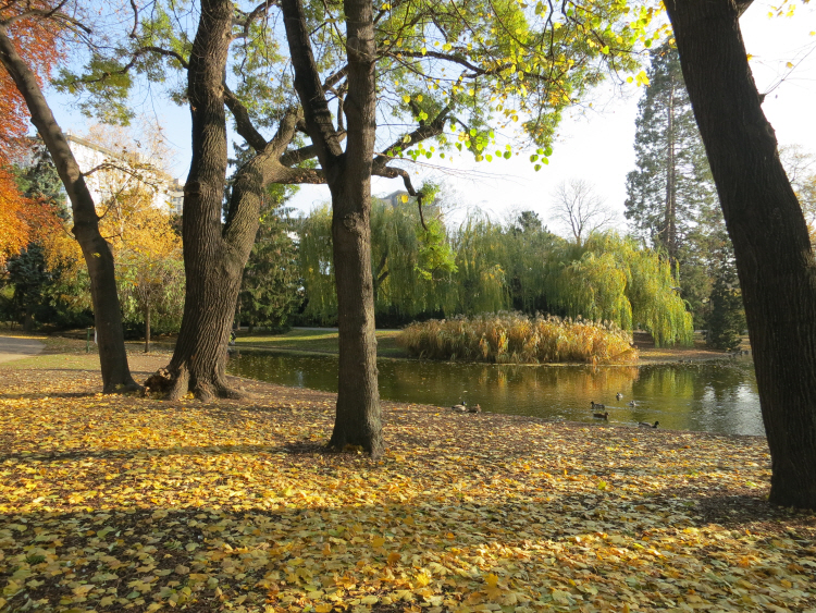 Stadtpark 2_1.JPG