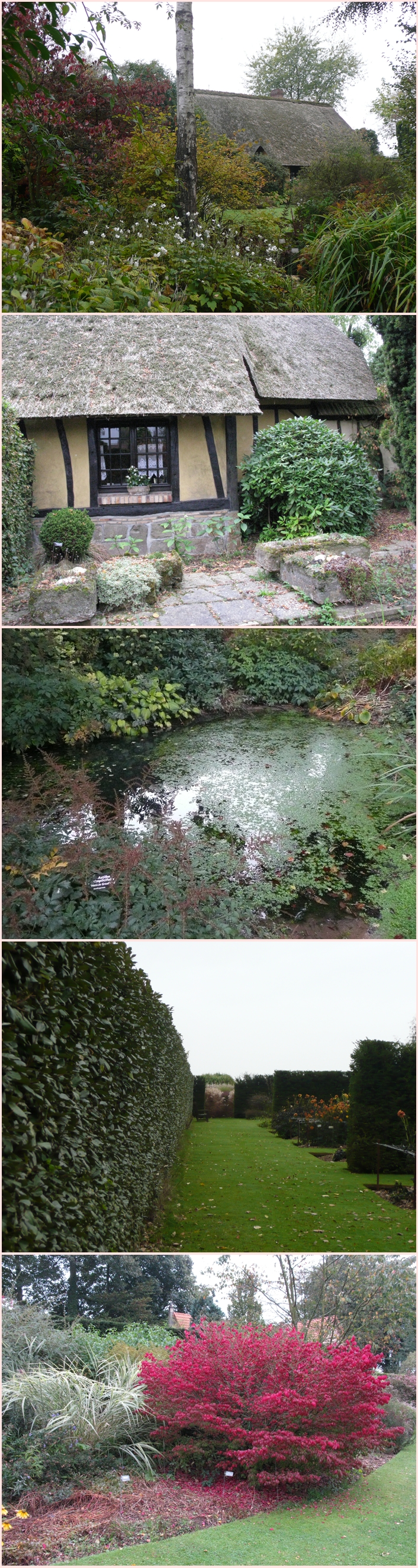 P1220703-vert garten1.jpg