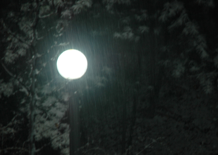 0226_snow.jpg 0226_snow.jpg
