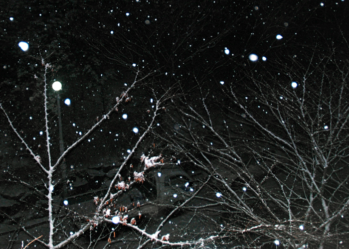 0226_snow_1.jpg 0226_snow_1.jpg