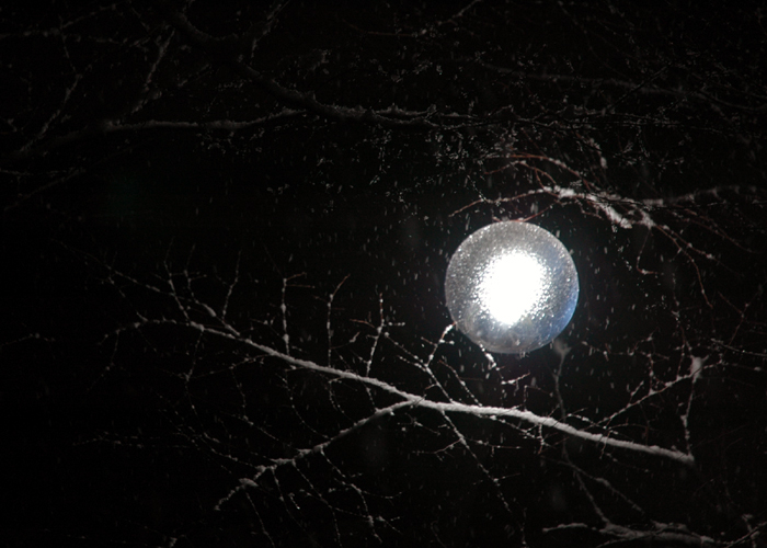 0226_snow_2.jpg 0226_snow_2.jpg