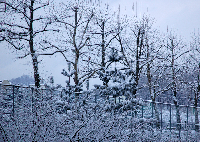 DSC_0006.jpg DSC_0006.jpg