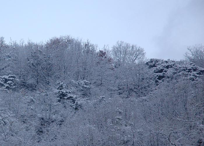DSC_0007.jpg DSC_0007.jpg