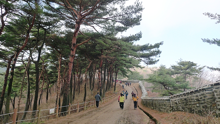 P1060636.JPG