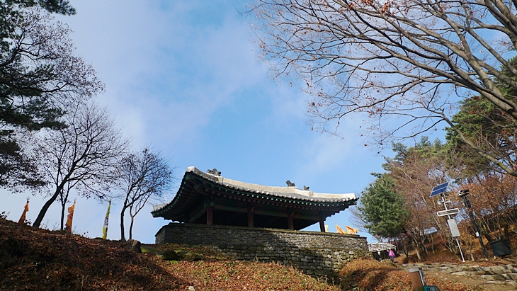 P1060639.JPG