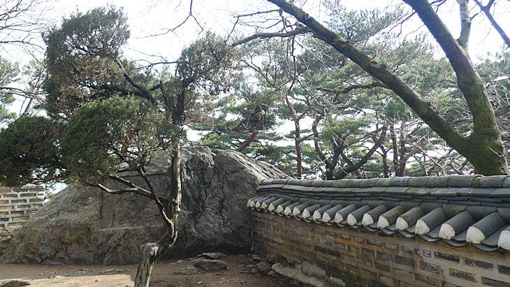 P1060650.JPG