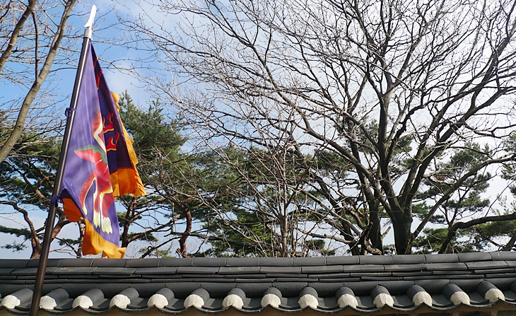 P1060656.JPG