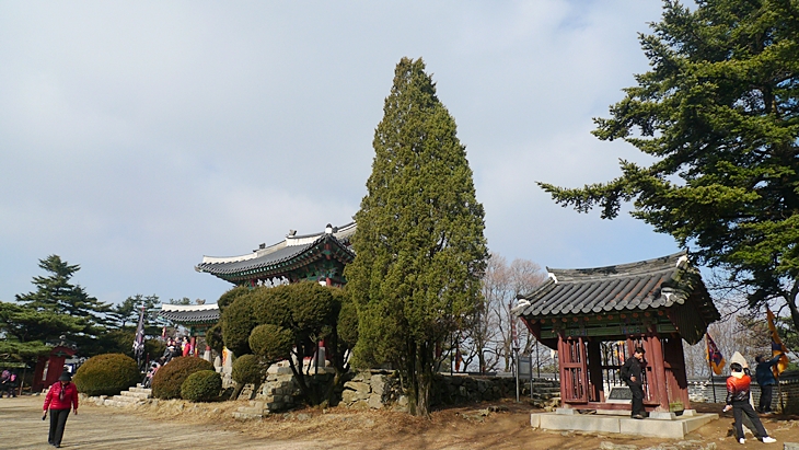 P1060659.JPG