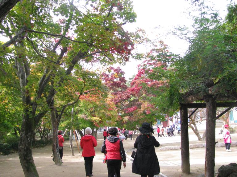 추억의 여행 014.jpg