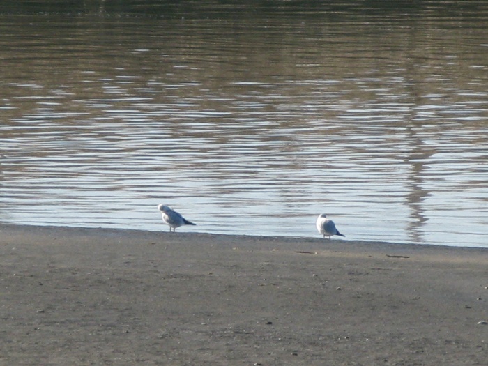 IMG_2643.JPG
