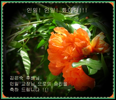 d-DSC00801.JPG