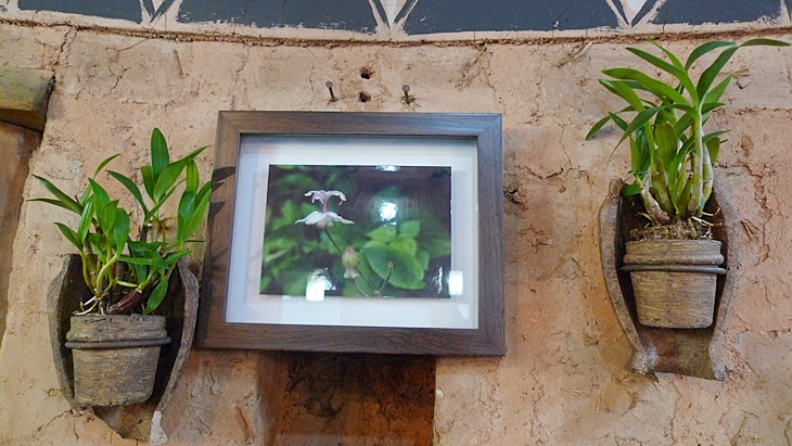 P1060604.JPG