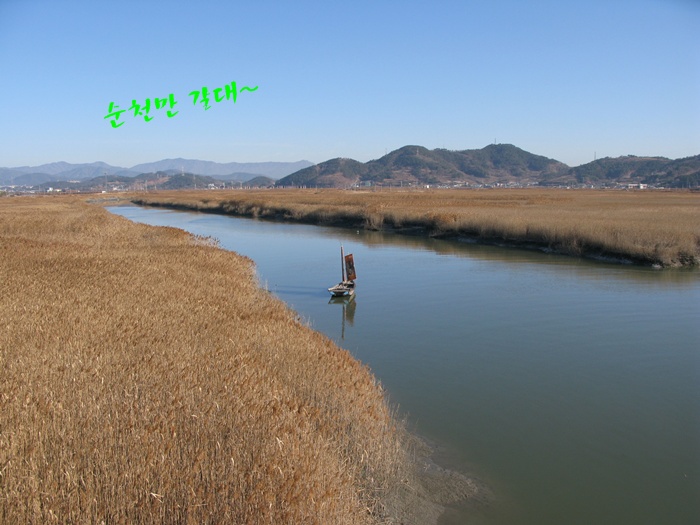 IMG_2590.JPG