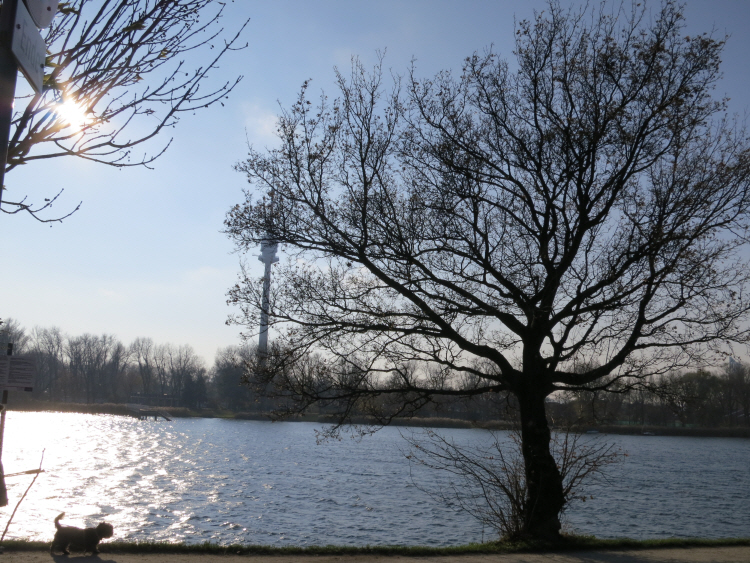 an der alten Donau 1_3.JPG