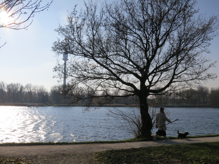 an der alten Donau 1_4.JPG