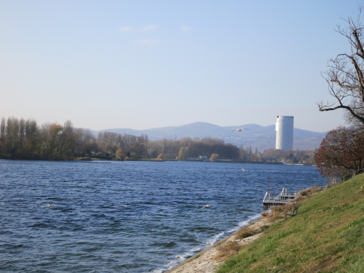 an der alten Donau 1_5.JPG