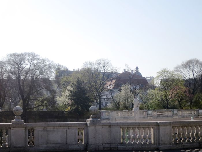 Kirschbluehte Stadtpark 5.jpg