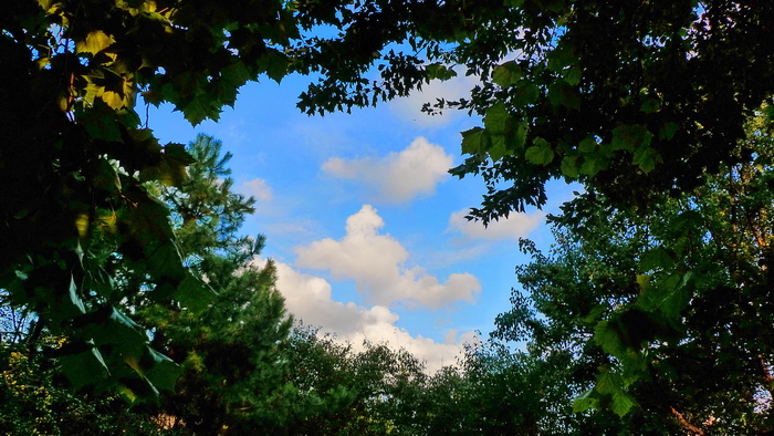 P1060266.JPG