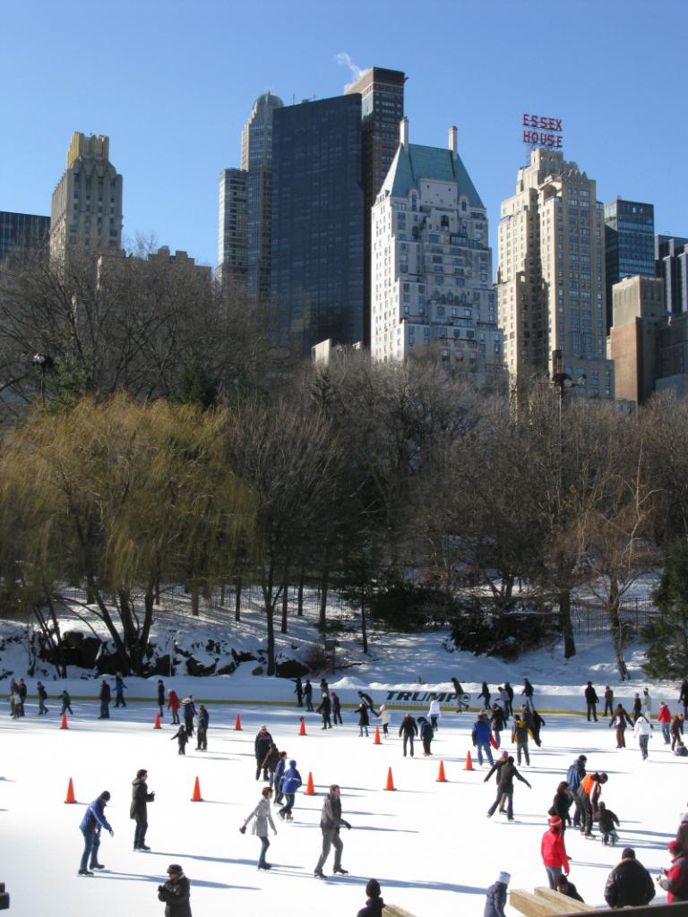 NY Central Park Skating.JPG