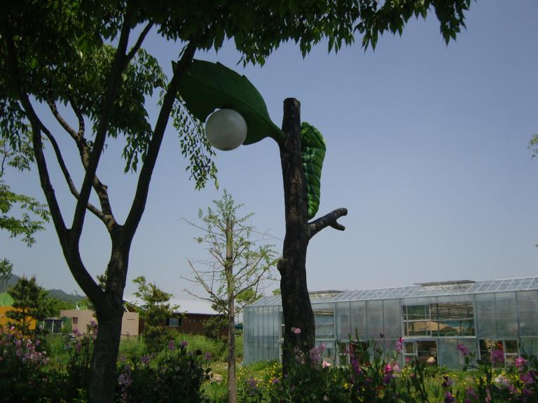 SNC10006.JPG