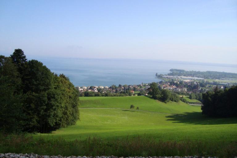 7.August 2010 024_copy.jpg
