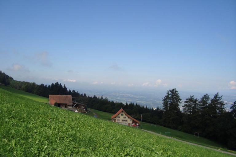7.August 2010 037_copy.jpg