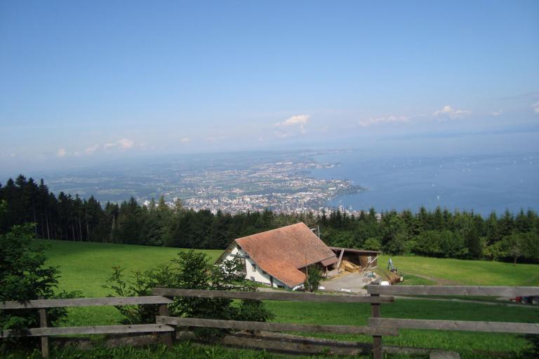 7.August 2010 042_copy.jpg