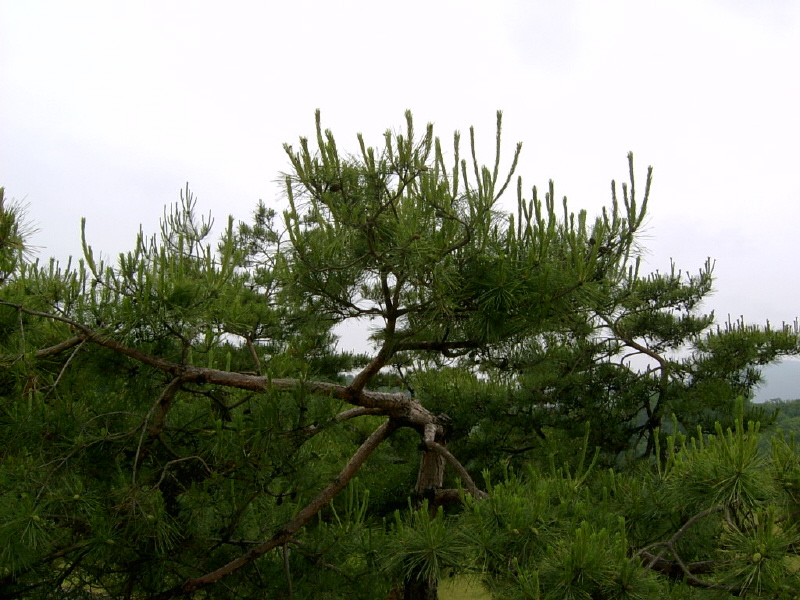 08-05-28-102.JPG