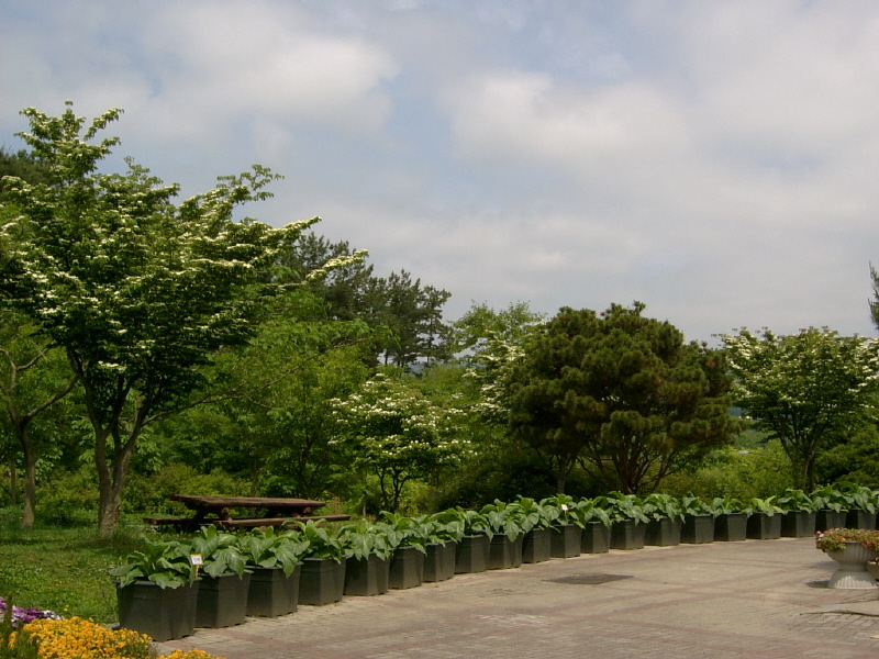 08-05-29-104.JPG