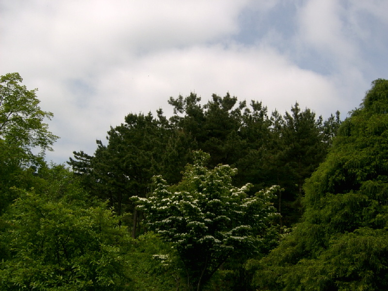 08-05-29-105.JPG