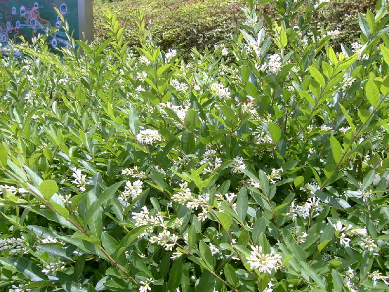 08-05-29-111.JPG