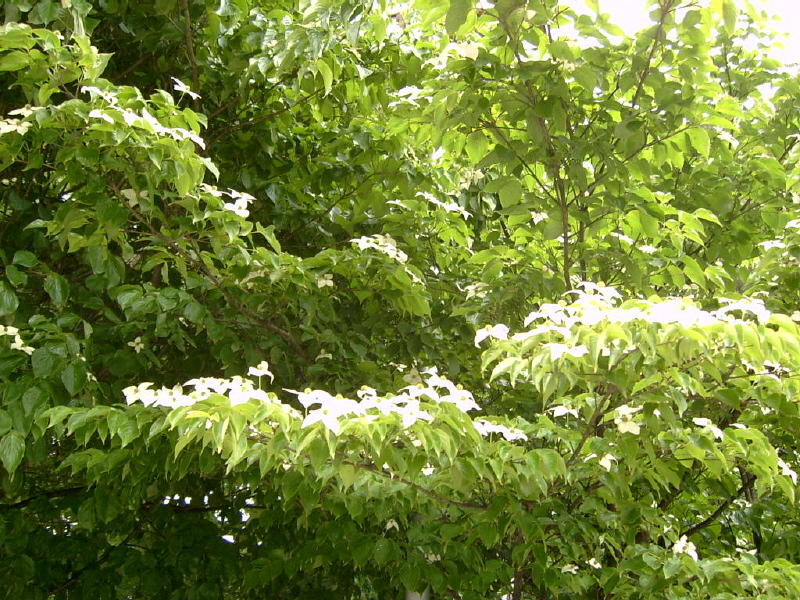 08-05-30-112.JPG