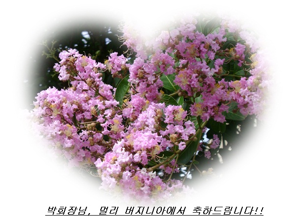 ab-DSC01509.JPG