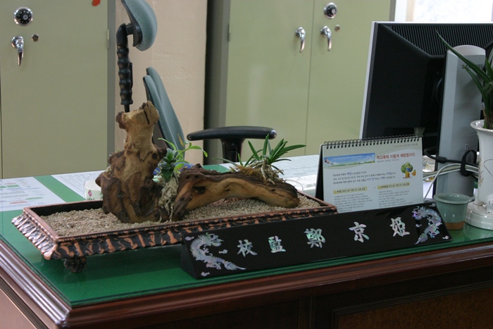 20080805-001.jpg