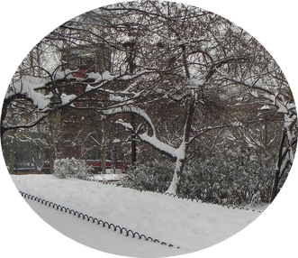 6snow.jpg