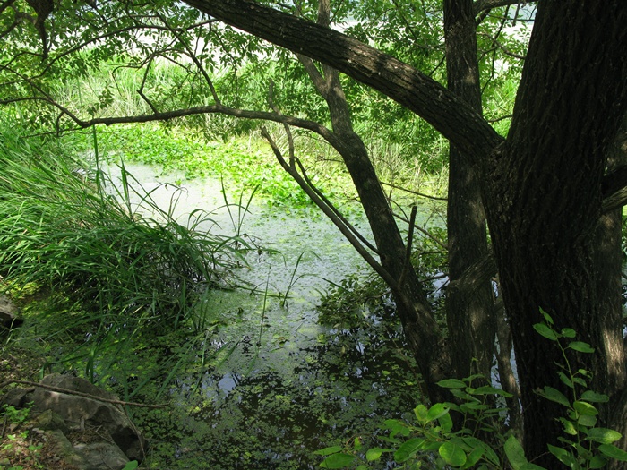 IMG_8437.JPG